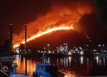 Δύσκολη η νύχτα στην Εύβοια: Εκτός ελέγχου η φωτιά στο Αλιβέρι (φωτο, video)