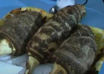 Τo μυστικό της μακροζωίας των Ικαριωτών: Η υπερτροφή που θεωρείται…μαγικός ζωμός