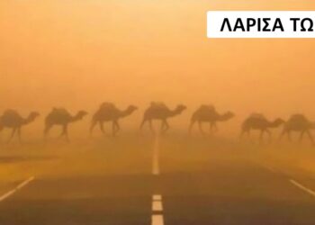 Ο καύσωνας έγινε viral στη Λάρισα: «Έβρασε» και το Twitter… τρελάθηκε – «Μόλις είδα ένα κουνούπι με ιδρώτα»