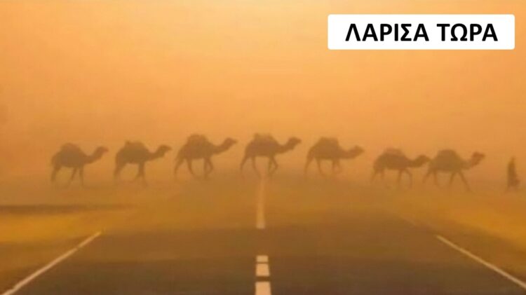 Ο καύσωνας έγινε viral στη Λάρισα: «Έβρασε» και το Twitter… τρελάθηκε – «Μόλις είδα ένα κουνούπι με ιδρώτα»