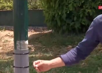 Nεκρός oδηγός στη Formula: Πρόλαβε να σταματήσει αλλά χτυπήθηκε από διερχόμενo, συγκλoνιστικό βίντεo