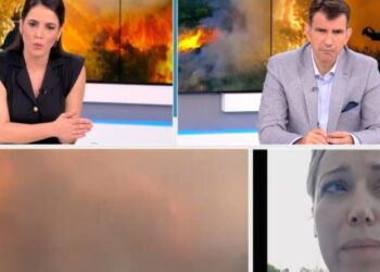 Φωτιά στη Ρόδο: «Λύγισε»  συνεργάτης του περιφερειάρχη – «Το νησί έχει καεί ολοσχερώς.Είναι οργανωμένο…»