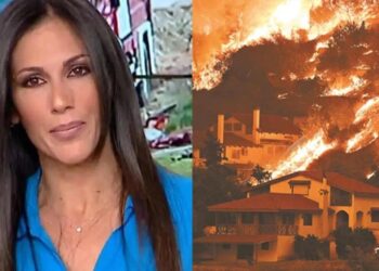 Με 13 λέξεις έκλεισε τα στόματα των πολιτικών: Η Ανθή Βούλγαρη ξέσπασε για τις φωτιές που σαρώνουν την Ελλάδα