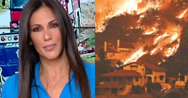 Με 13 λέξεις έκλεισε τα στόματα των πολιτικών: Η Ανθή Βούλγαρη ξέσπασε για τις φωτιές που σαρώνουν την Ελλάδα