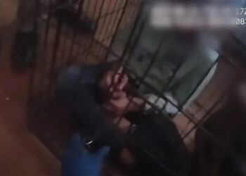 Σοκαριστικό βίντεο: Αστυνομικοί σώζουν 7 παιδιά – Ήταν κλειδωμένα σε κλουβί, κακοποιημένα και υποσιτισμένα