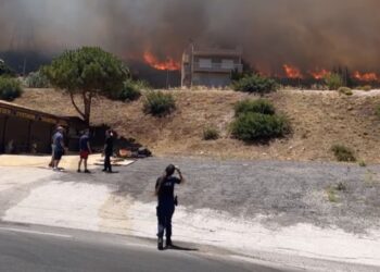 Μεγάλη φωτιά στο Νέο Κουβαρά δίπλα σε σπίτια – Εκκενώνεται η περιοχή Πέτα προς Κερατέα, ισχυροί άνεμοι πνέουν στην περιοχή