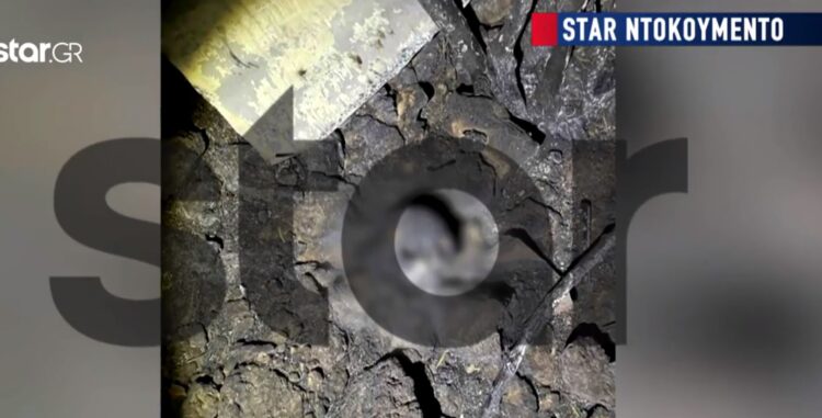 Πάρνηθα: Θρίλερ με το μακάβριο εύρημα στη Φυλή – Δύσκολη η ταυτοποίηση του καμένου κρανίου[video]