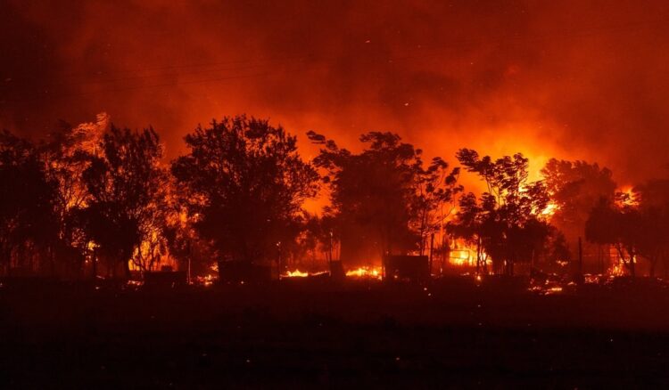 Τραγωδία στο δάσος της Δαδιάς: Δύο παιδάκια απανθρακωμένα ανάμεσα στους 18 νεκρούς