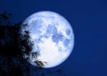 “Καλάθι των Μαθητών”: Αυλαία για τα σχολικά είδη