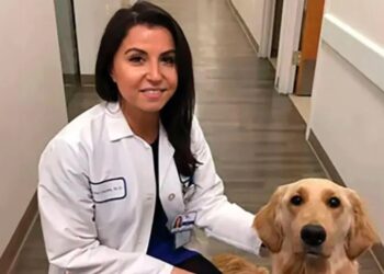 Οικογενειακή τραγωδία: 40χρονη γιατρός μπήκε στο παιδικό δωμάτιο πupοβόλησε το μωρό της και στη συνέχεια αuτoκτόvησε (φωτο)