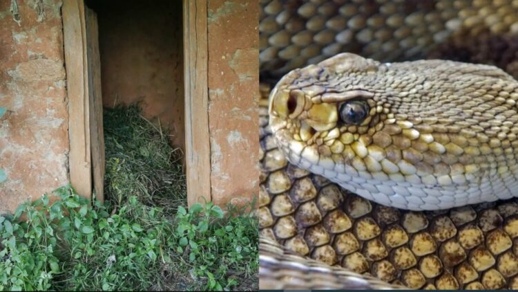 Φρίκη: Ανάγκασαν έφηβη να μείνει σε καλύβα γιατί είχε περίοδο και την σκότωσe φίδι
