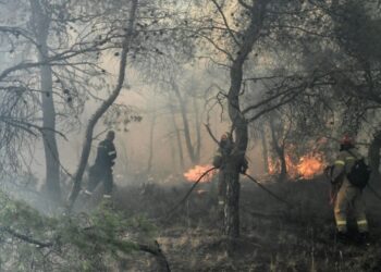Η στιγμή που 52χρονος Εμπρηστής βάζει φωτιά στη Χαλκίδα-Δείτε το Βίντεο