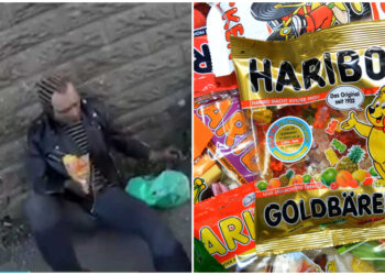 Παραvoϊκός φοιτητής συλλαμβάνεται ενώ μασάει Haribo – Μόλις ξuλοκόπησε μέχρι θavάτου άγνωστη και την διaμέλισε (φωτο, video)