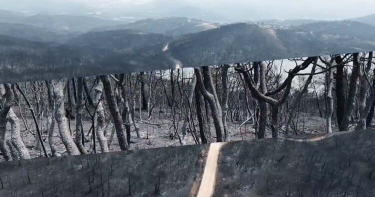 Μαυρίλα παντού στον Έβρο – Συγκλονιστικό βίντεο καταγράφει την συμφορά