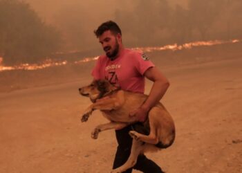 Φωτιά στην Πάρνηθα: Ο Λεωνίδας Ρόδης είναι ο άνθρωπος που έσωσε ζώα μέσα από το πύρινο μέτωπο