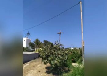 Εικόνες ντροπής στην Πάρο: Σταύρωσαν κοράκι και το κρέμασαν σε κοινή θέα – Συνελήφθη ο δράστης