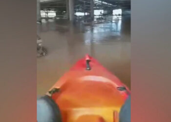 Απόκοσμο βίντεο από τη Λάρισα: Κτηνοτρόφος μπήκε στη μονάδα του με βάρκα και αντίκρισε 800 πνιγμένα πρόβατα