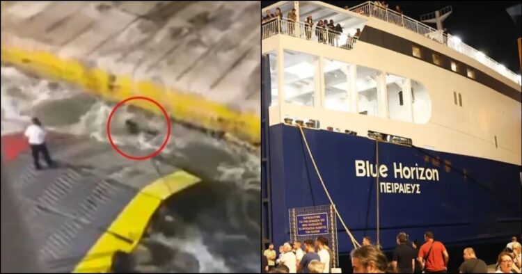 Ηχητικό της ντροπής του Blue Horizon: «Μπλέξαμε, μπλέξαμε – Πέθανε νέος που έπεσε στη θάλασσα»