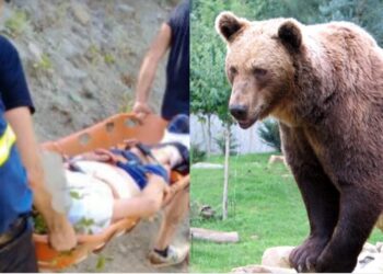 «Πως έπεισα το θηρίο να μου χαρίσει τη ζωή»-Τι είπε ο άνθρωπος που πάλεψε με την Αρκούδα