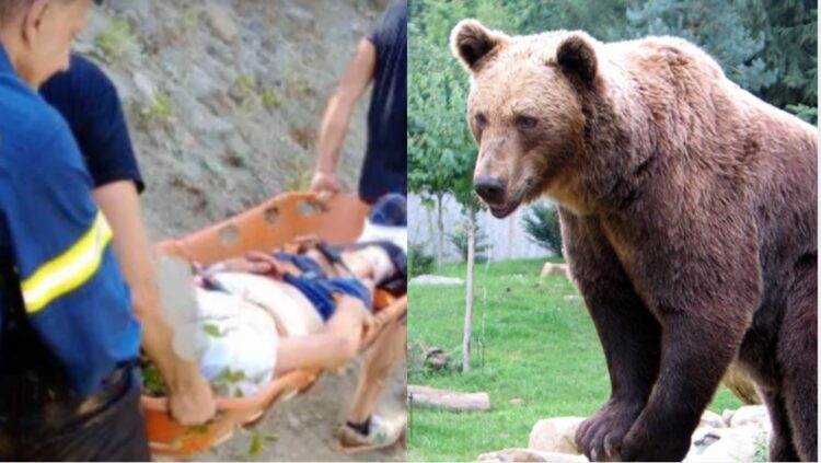 «Πως έπεισα το θηρίο να μου χαρίσει τη ζωή»-Τι είπε ο άνθρωπος που πάλεψε με την Αρκούδα