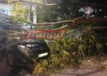 Μητέρα περίμενε το παιδί της από το φροντιστήριο και έπεσε πάνω της δέντρο (φωτο)