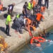 Τήνος: Γυναίκα έπεσε στη θάλασσα κατά την επιβίβαση στο πλοίο – Δείτε βίντεο