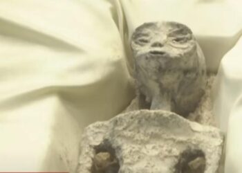 Μεξικό: Ερευνητής UFO παρουσίασε στο Κογκρέσο δύο «μη ανθρώπινα» πτώματα (video)