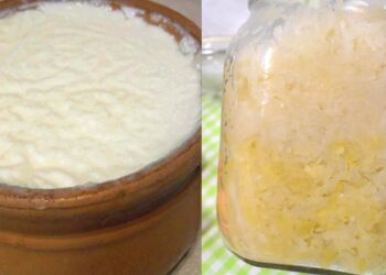 Πού βρίσκονται τα «καλά» μικρόβια που αδυνατίζουν και ωφελούν την υγεία