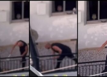 Αληθινή Κτηνωδία: Συνελήφθη 38χρονος που χτυπούσε τον σκύλο του στο μπαλκόνι
