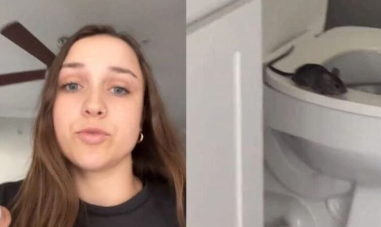 Εφιάλτης στην τουαλέτα – Κοπέλα έπαθε σοκ όταν άρχισαν να βγαίνουν αρουραίοι από τη λεκάνη[video]