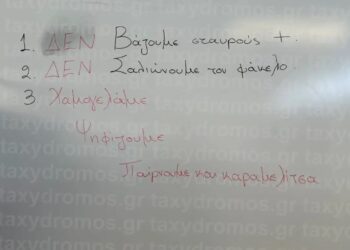 Δημ. Εκλογές: Οι Απίστευτες οδηγίες σε εκλογικό κέντρο