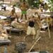 I’m a Celebrity: Ομοφοβικά σχόλια Γαρδέλη για Κασσελάκη – Πιάστηκαν στα χέρια με Τάσο Ξιαρχό
