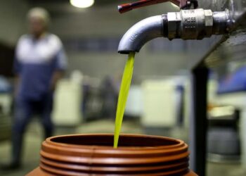 Χαλκιδική: «Θεωρούμε ότι η κλοπή έγινε μέσα από τον Συνεταιρισμό – Έβγαζαν λίγο λίγο το λάδι και το πουλούσαν στην αγορά»