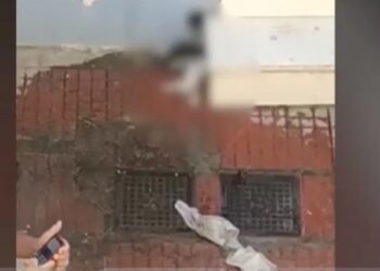 Κτηνωδία στη Νέα Φιλαδέλφεια: Βίντεο-ντοκουμέντο από ηλικιωμένο που σκοτώνει νεογέννητα γατάκια