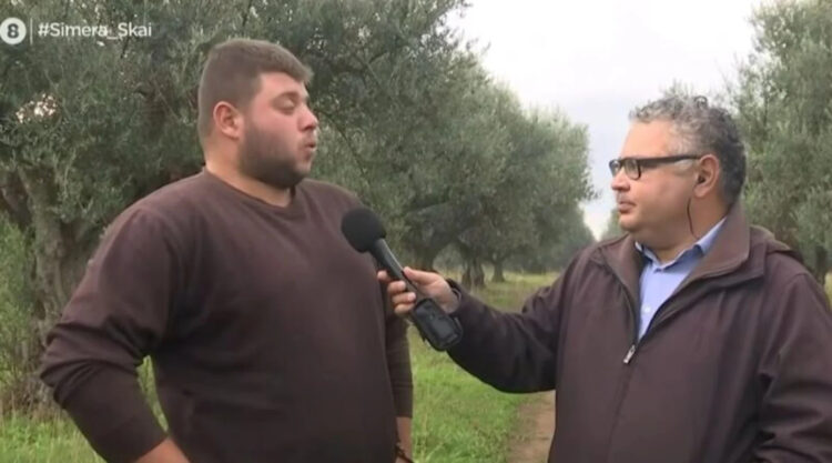 «Έκανα τον ανήξερο» – Αγρότης αποκάλuψε πώς έπıασαν τους τρεις που του έκλeψαν 7 τόνους ελιές