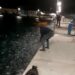 Χαμός στα Κουφονήσια με σαρδέλες που κατέκλυσαν το λιμάνι – Το βίντεο που κάνει το γύρο του διαδικτύου