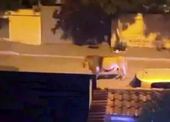 Πέθανε o σκηνοθέτης Δημήτρης Γιαμλόγλου σε ηλικία 50 ετών – Πριν τέσσερις μήνες διαγνώστηκε με καρκίνο