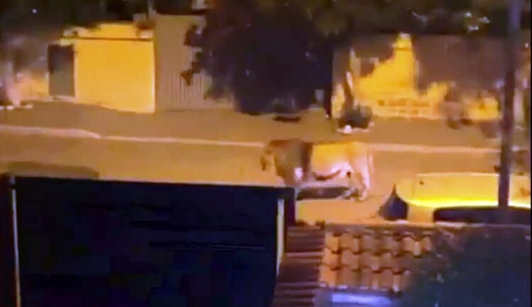 Πέθανε o σκηνοθέτης Δημήτρης Γιαμλόγλου σε ηλικία 50 ετών – Πριν τέσσερις μήνες διαγνώστηκε με καρκίνο