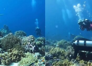 Σπάνιο στιγμιότυπο δείχνει τι συμβαίνει στον βυθό της θάλασσας όταν γίνεται σεισμός (video)