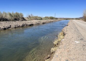 Πατέρας έπνιξε τη νεογέννητη κόρη του σε ποτάμι – Άκουγε φωνές που του έλεγαν να σκοτώσει μωρά