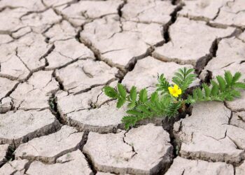 Πανελλήνιες 2024: Η κλιματική κρίση «ξεκλειδώνει» νέα επαγγέλματα