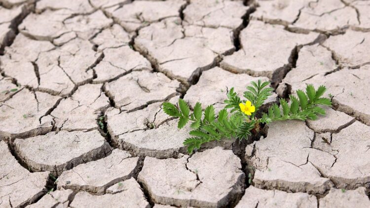 Πανελλήνιες 2024: Η κλιματική κρίση «ξεκλειδώνει» νέα επαγγέλματα