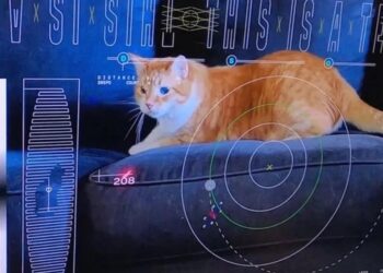 Η NASA δοκίμασε επικοινωνίες με λέιζερ μεταδίδοντας από το Διάστημα ένα βίντεο με μια γάτα