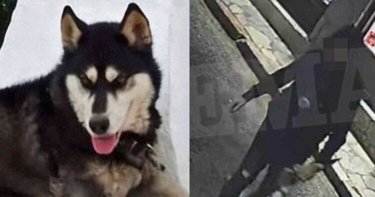 «Δεν πρόκειται να μου κάνουν τίποτα γιατί έχω διασuνδέσεις» – Πpοκαλεί ο δράστης που κακοποίnσε τον Όλιβερ στην Αράχωβα»