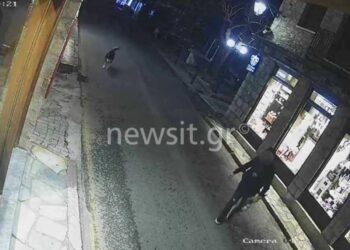 Αράχωβα: Φωτογραφίες ντοκουμέντο με άνδρα σε απόσταση αναπνοής από το χάσκι το βράδυ της επίθεσης