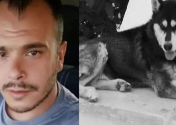 Έχουμε ντοκουμέντα»: Εξελίξεις στην Αράχωβα – Για ποιον λόγο ελέγχεται ο ιδιοκτήτης του Όλιβερ;