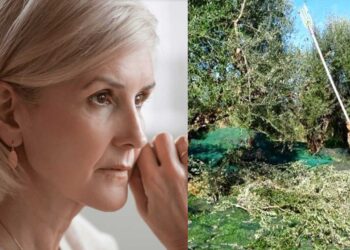 Ο άντρας μου κατέβηκε στην Ικαρία να μαζέψει ελιές πριν 5 χρόνια και ακόμη να γυρίσει. Τι να κάνω;