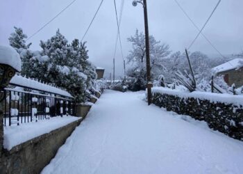 Ζαγόρι: Η συγκινητική ιστορία μαθητή που κάνει καθημερινά 56 χλμ για να πάει σχολείο – «Θέλω να γίνω δάσκαλος»