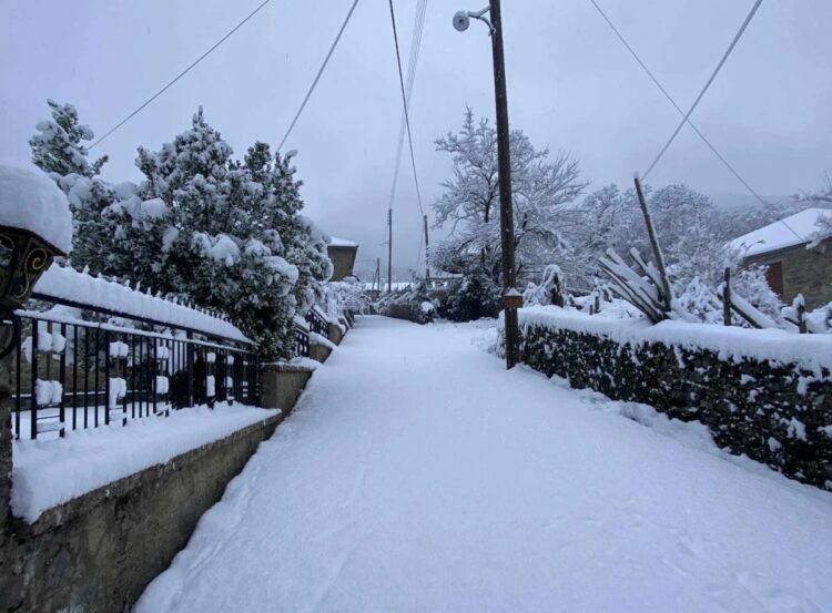 Ζαγόρι: Η συγκινητική ιστορία μαθητή που κάνει καθημερινά 56 χλμ για να πάει σχολείο – «Θέλω να γίνω δάσκαλος»
