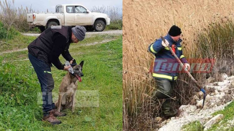 Μεσολόγγι: «Ίχνος» εντόπισε σε βάλτο ο εκπαιδευμένος σκύλος – Ραγδαίες εξελίξεις με τον Μπάμπη Κούτσικο (Video)